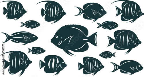 Fish silhouettes collection isolated on white, tropical marine aquatic animals set, decorative ocean wildlife vector illustration for design projects
