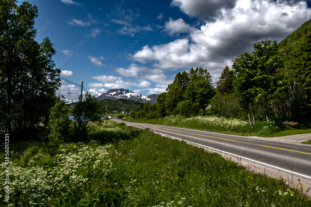 Naklejka premium Abandoned Road And Snowy Mountains At The Fjord Cost Of Lofoten Islands In Norway