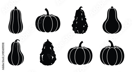 Black and white silhouettes of various gourd and pumpkin shapes displayed