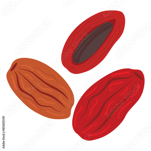 Dates vector illustration set of sweet dried fruits isolated on white background