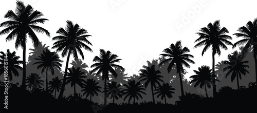 Striking black and white silhouette landscape featuring a dense tropical jungle canopy composed entirely of layered palm tree outlines against a bright white background for graphic design projects