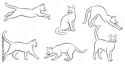 This list targets users searching for pet-themed graphics, feline illustrations, veterinary logos, and animal line art for minimalist designs.