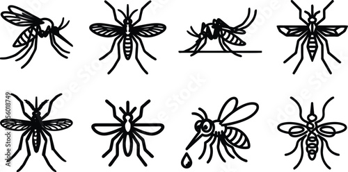 Collection of various insect illustrations in black and white