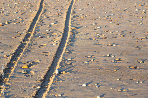 tire tracks in sand