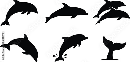 Dolphin Silhouette Vector Set on White Background