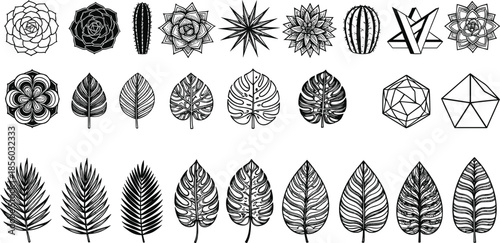 Black and white linear vector icon set featuring succulents monstera leaves palm fronds and geometric floral shapes isolated on white background.