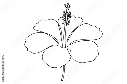 Simple hibiscus flower illustration