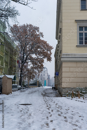Wroclaw winter side street with tenements, russet tree, and sign
