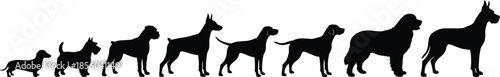 Dog breed silhouette lineup, 8 sizes, domestic pet icons, black outline, isolated, vector graphic