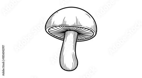 Detailed black and white line art illustration of a wild mushroom with visible gills and a thick stem perfect for coloring books or schools.