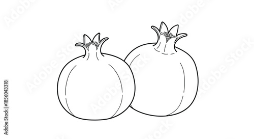 Black and white line art illustration showing two whole pomegranates with their distinctive crown like calyxes for coloring or botany work.