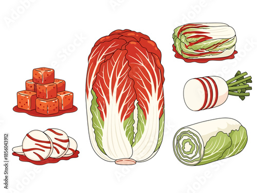 Fresh Napa Cabbage and Cubed Fermented Vegetables Collection