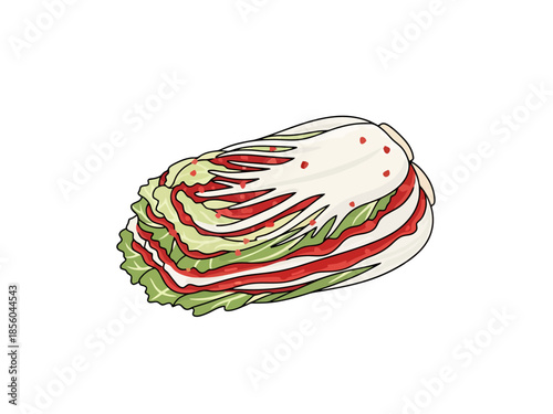 Fresh Napa Cabbage Preparation for Fermentation