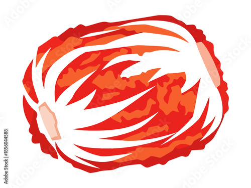 Fermented Cabbage Dish Top View Abstract Style Korean Food Ingredient Concept