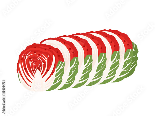 Fresh Napa Cabbage Slices Culinary Ingredient