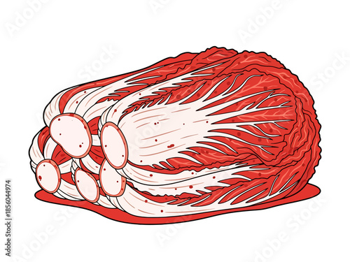 Fresh Napa Cabbage Head Isolated on White Background Artistic Render