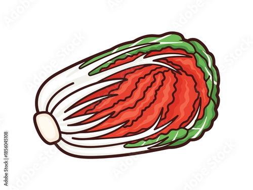 Napa Cabbage Half Cut Section with Reddish Inner Leaves Isolated on White Background