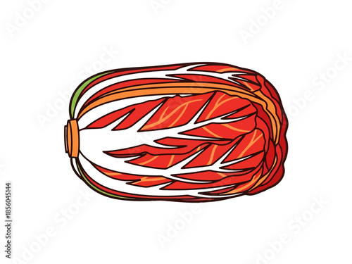 Fresh Napa Cabbage Preparation for Fermentation