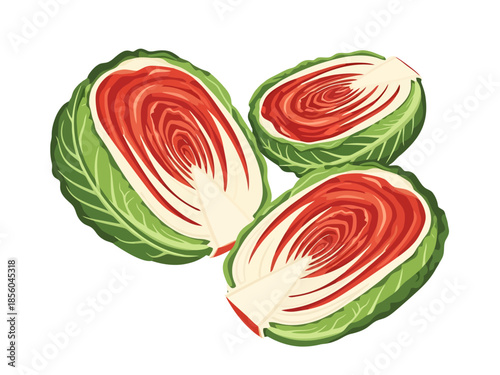 Fresh Napa Cabbage Halves for Healthy Cuisine and Culinary Arts