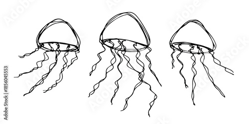 Set of hand drawn jellyfish doodle Sea animal illustration Cute marine underwater creature Medusa sketch clipart Single element for web, design, decor, children's print