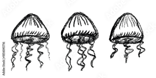 Set of hand drawn jellyfish doodle Sea animal illustration Cute marine underwater creature Medusa sketch clipart Single element for web, design, decor, children's print