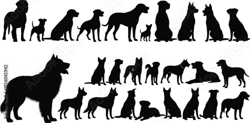 Dog silhouette collection showing various breeds, sizes and poses, domestic pet animals set for design, training and veterinary concepts, flat vector illustration