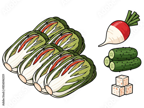 Fresh Produce for Fermentation Cabbage Radish Cucumbers and Sugar Cubes