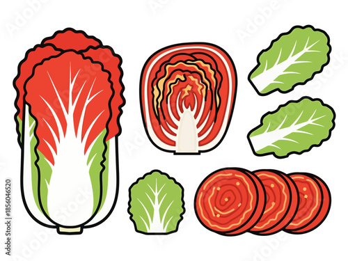 Fresh Red Napa Cabbage Variety and Sliced Components for Culinary Use