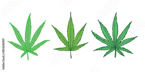 Set of hand drawn cannabis leaf Medicine marijuana Hemp leaves clipart in doodle style Single element for print, web, design, decor