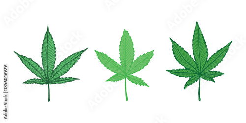 Set of hand drawn cannabis leaf Medicine marijuana Hemp leaves clipart in doodle style Single element for print, web, design, decor