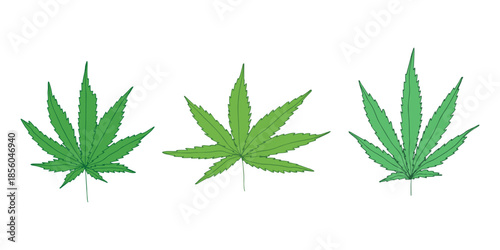 Set of hand drawn cannabis leaf Medicine marijuana Hemp leaves clipart in doodle style Single element for print, web, design, decor