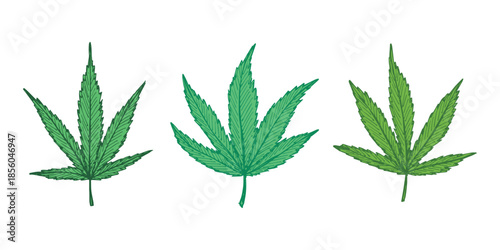 Set of hand drawn cannabis leaf Medicine marijuana Hemp leaves clipart in doodle style Single element for print, web, design, decor