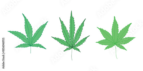 Set of hand drawn cannabis leaf Medicine marijuana Hemp leaves clipart in doodle style Single element for print, web, design, decor