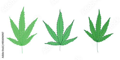 Set of hand drawn cannabis leaf Medicine marijuana Hemp leaves clipart in doodle style Single element for print, web, design, decor