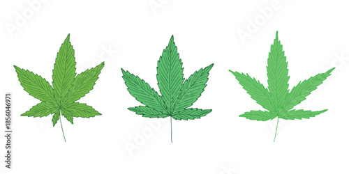 Set of hand drawn cannabis leaf Medicine marijuana Hemp leaves clipart in doodle style Single element for print, web, design, decor