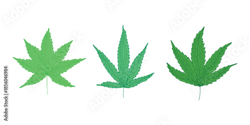 Set of hand drawn cannabis leaf Medicine marijuana Hemp leaves clipart in doodle style Single element for print, web, design, decor