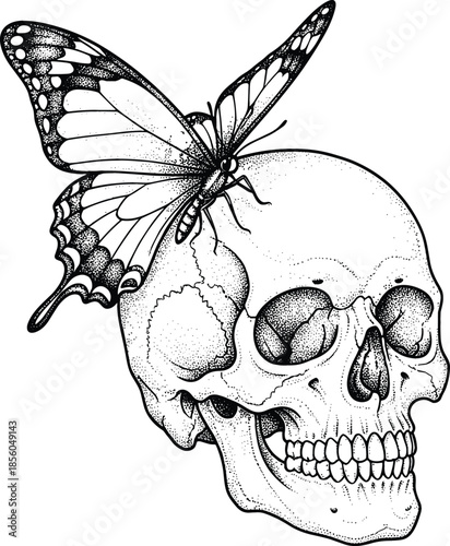 Detailed black and white stipple art illustration of human skull with large patterned butterfly perched on top.