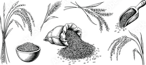Hand drawn wheat and grain illustration set with rice seeds sack harvest elements vintage sketch style isolated white background