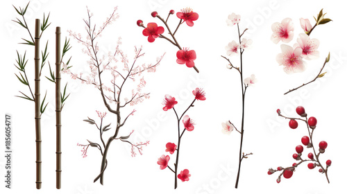 Winter seasonal Japanese icons with bamboo segments and plum blossom on transparent background