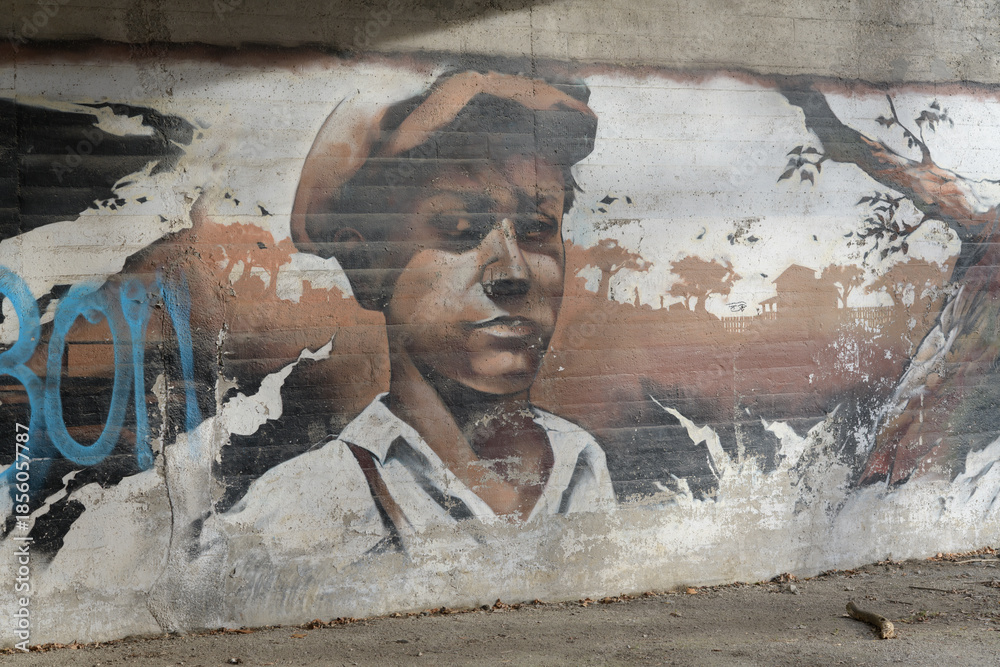 Naklejka premium Beltline Trail / Eglinton Bridge transit‑themed mural, Toronto