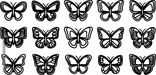 Fototapeta Monochrome Butterfly Species Collection