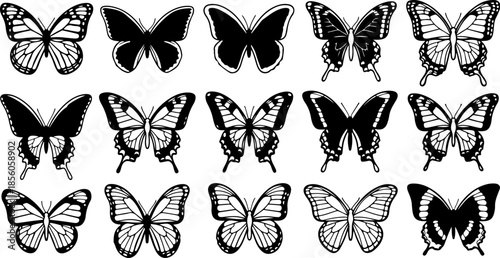 Monochrome Butterfly Species Collection