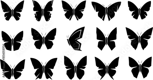 Monochrome Butterfly Species Collection