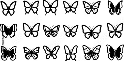 Monochrome Butterfly Species Collection