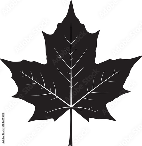 Maple leaf vector silhouette detailed canadian symbol of autumn and nature