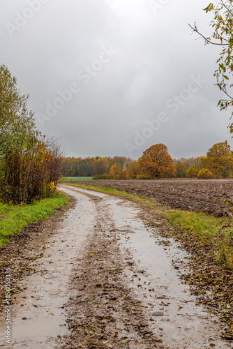 Muddy Country Road Beside Ploughed Field