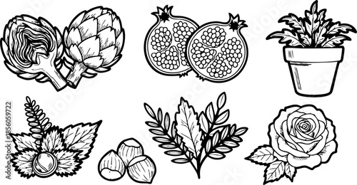 Vector illustration of artichoke pomegranate potted plant and floral elements in black and white line art 