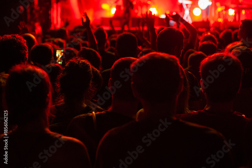 Wallpaper Mural concert crowd in red light, unrecognizable anonymous people cheering at concert in music festival by night Torontodigital.ca