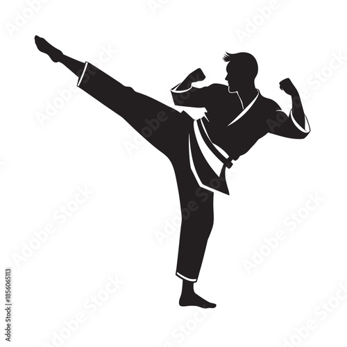 Karate Fighter High Kick Action Silhouette