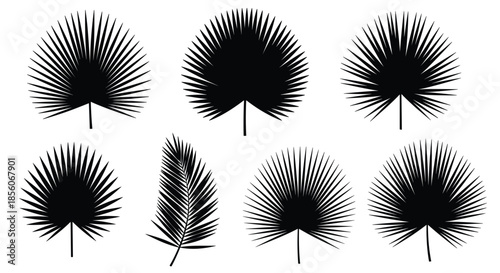 Set of eight detailed palm and fan leaf silhouettes in black on a clean white background representing tropical vegetation.